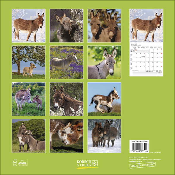 Esel 2027, Innenansicht #13