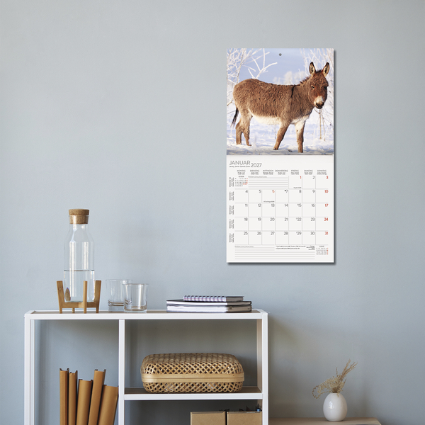 Esel 2027, Innenansicht #16