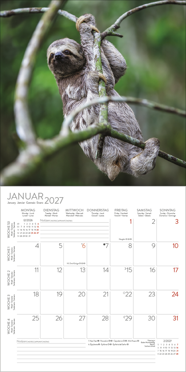 Faultier 2027, Innenansicht #1