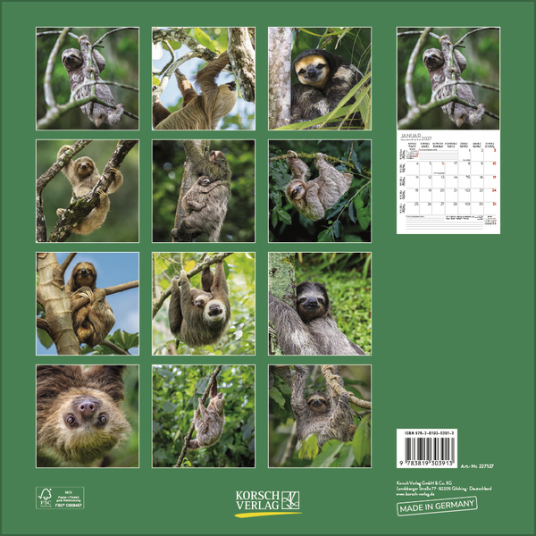 Faultier 2027, Innenansicht #13