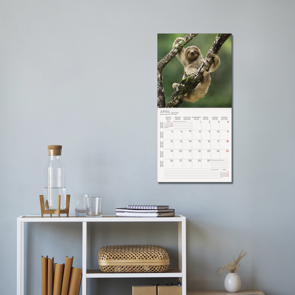 Faultier 2027, Innenansicht #16