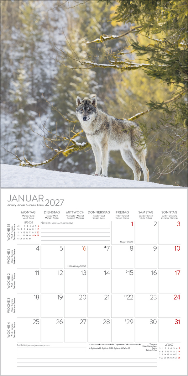 W&ouml;lfe 2027, Innenansicht #1