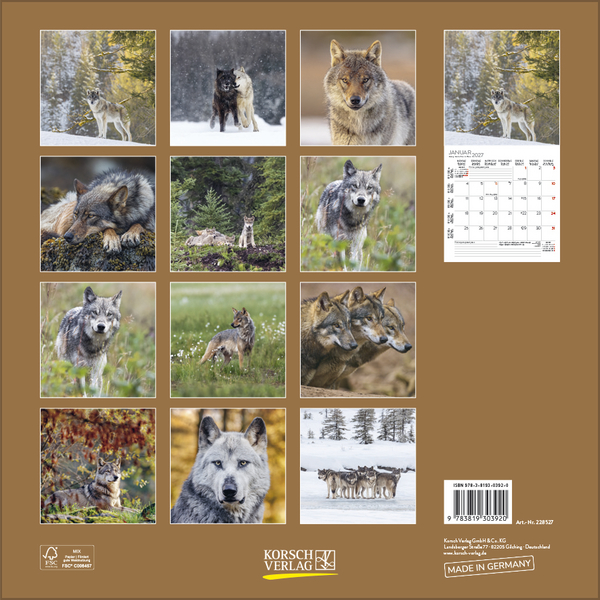 W&ouml;lfe 2027, Innenansicht #13