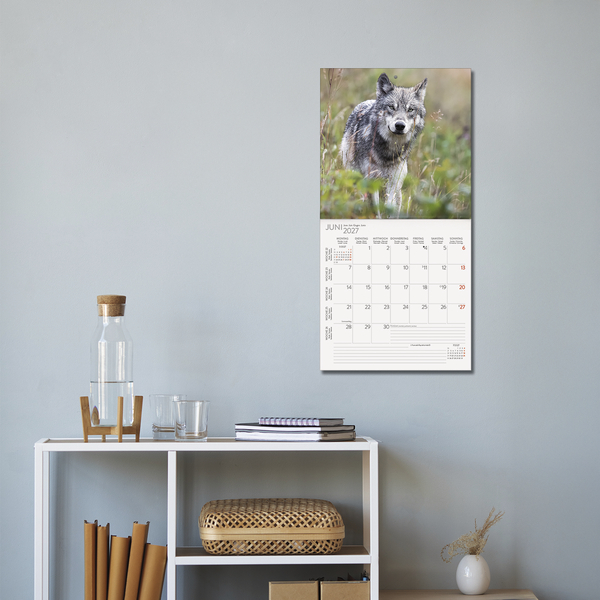 W&ouml;lfe 2027, Innenansicht #16