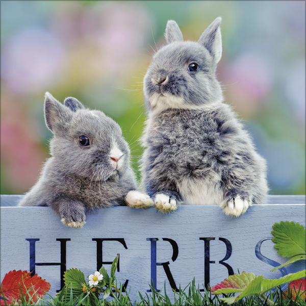 Kaninchen 2027, Innenansicht #2