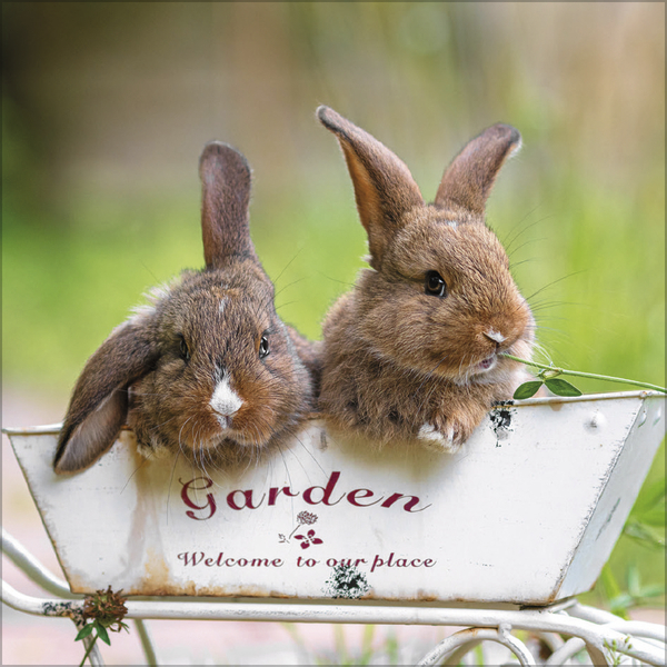 Kaninchen 2027, Innenansicht #8