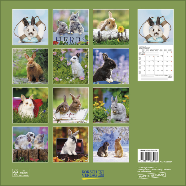 Kaninchen 2027, Innenansicht #13