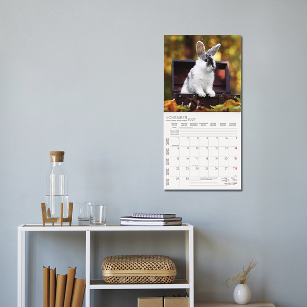 Kaninchen 2027, Innenansicht #16