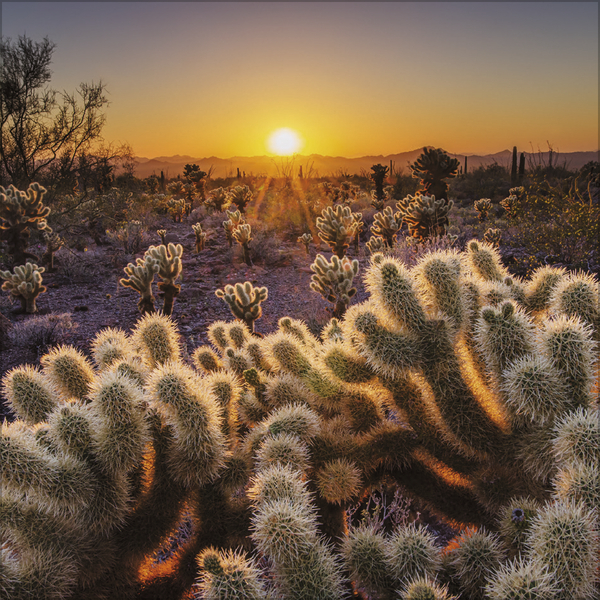 Sunsets 2027, Innenansicht #6