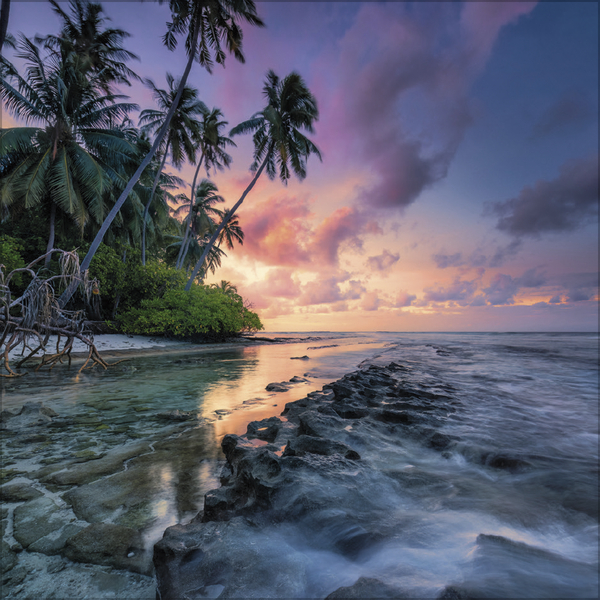 Sunsets 2027, Innenansicht #8