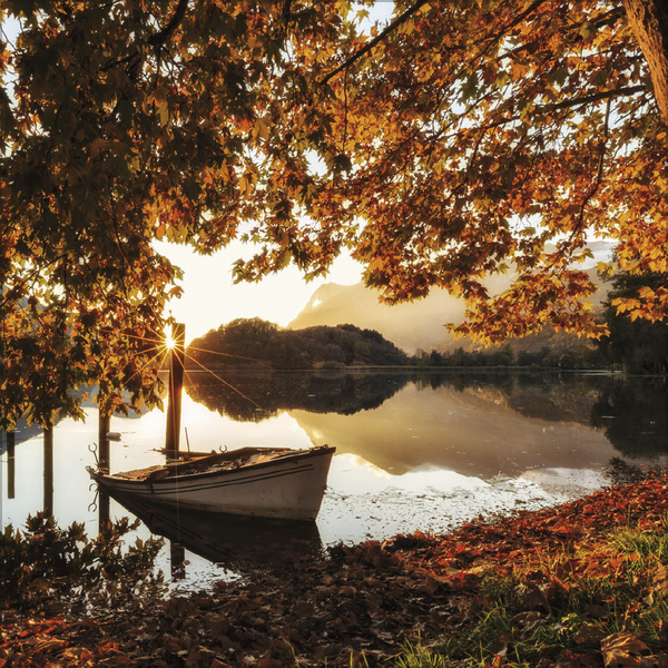 Sunsets 2027, Innenansicht #11