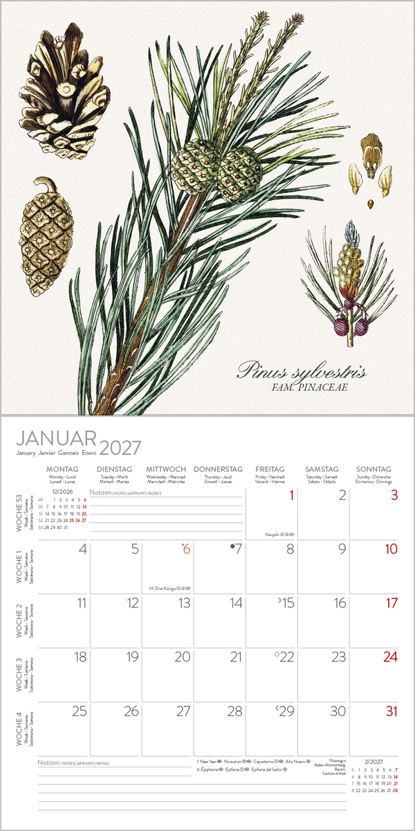 Botanicum 2027, Innenansicht #1