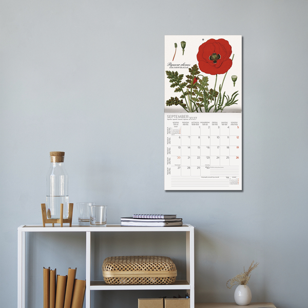 Botanicum 2027, Innenansicht #16