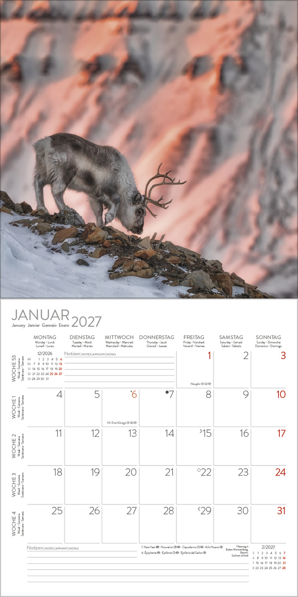 Moments in Nature 2027, Innenansicht #1