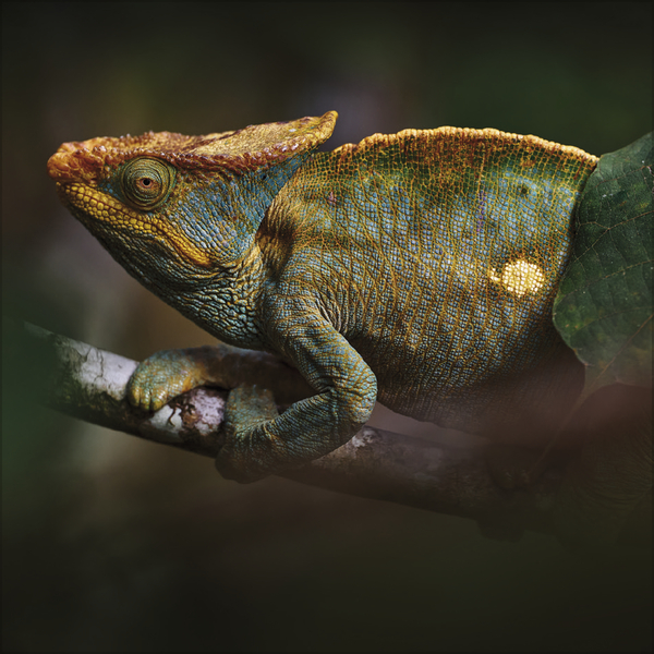 Moments in Nature 2027, Innenansicht #3