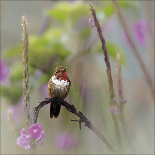 Moments in Nature 2027, Innenansicht #4