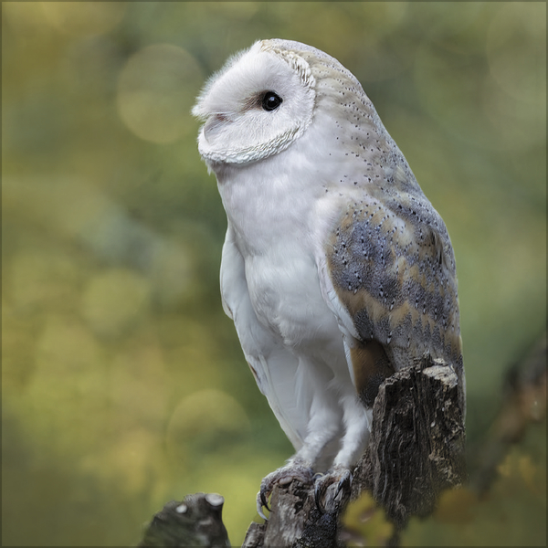 Moments in Nature 2027, Innenansicht #6