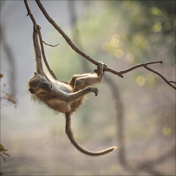 Moments in Nature 2027, Innenansicht #9