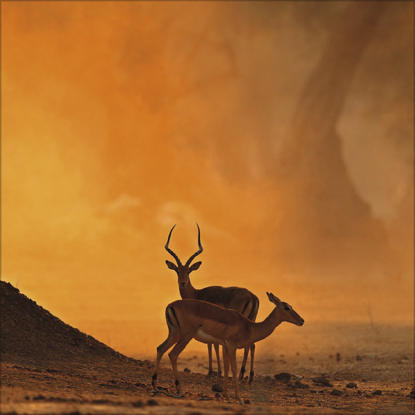 Moments in Nature 2027, Innenansicht #10