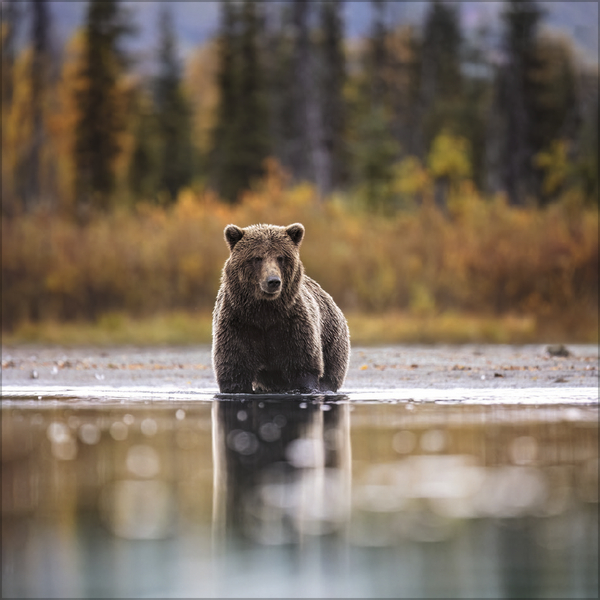 Moments in Nature 2027, Innenansicht #11