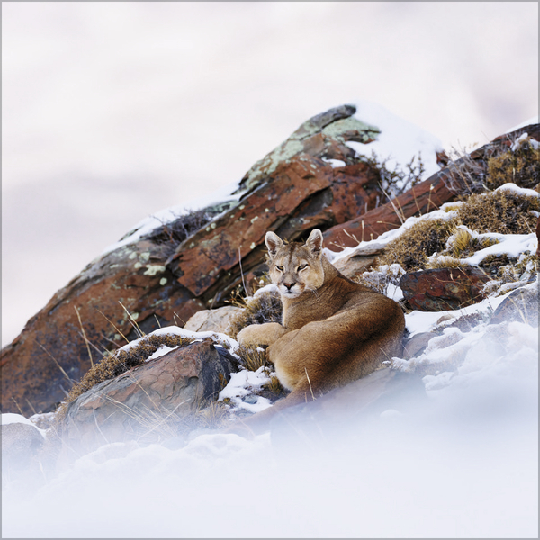 Moments in Nature 2027, Innenansicht #12