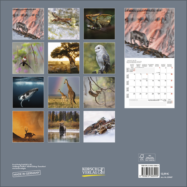 Moments in Nature 2027, Innenansicht #13