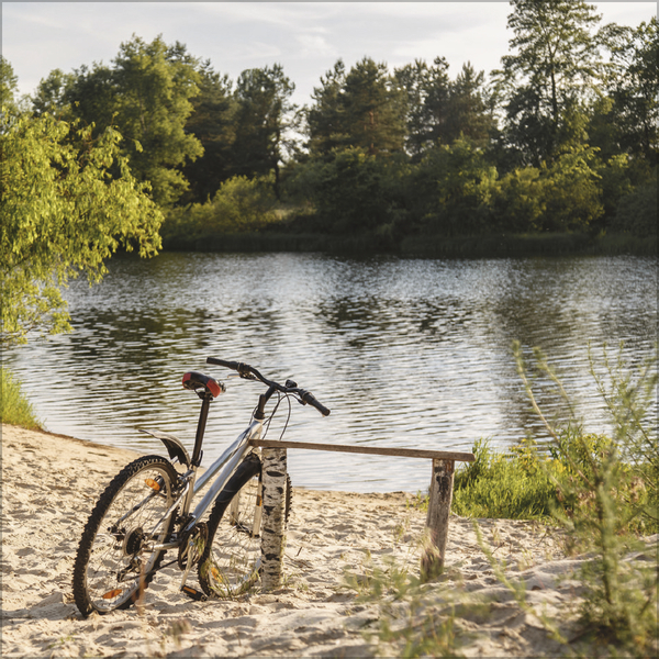 Bike Love 2027, Innenansicht #5