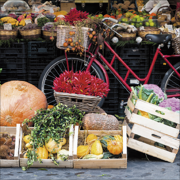 Bike Love 2027, Innenansicht #6