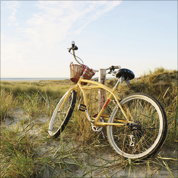 Bike Love 2027, Innenansicht #7