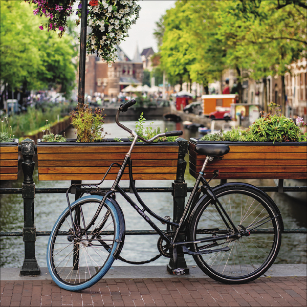 Bike Love 2027, Innenansicht #9