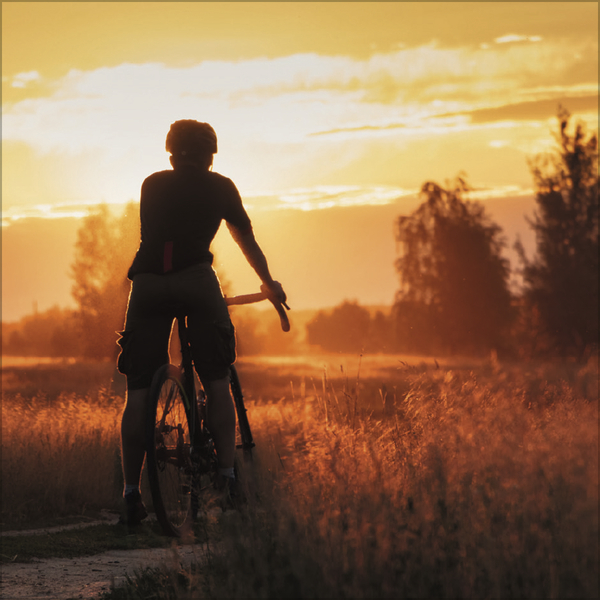 Bike Love 2027, Innenansicht #11