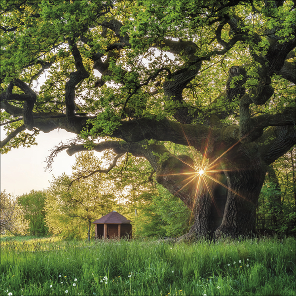 Bayern 2027, Innenansicht #5