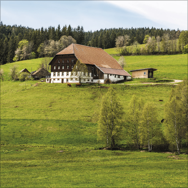 Schwarzwald 2027, Innenansicht #3