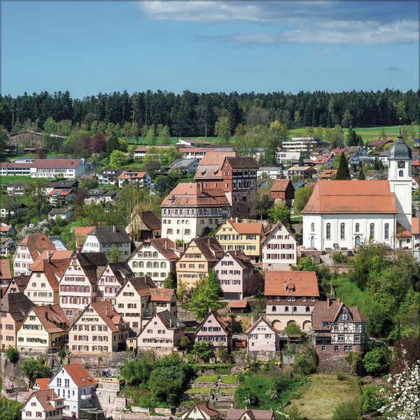 Schwarzwald 2027, Innenansicht #4