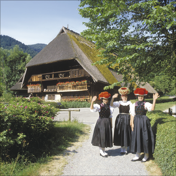 Schwarzwald 2027, Innenansicht #7