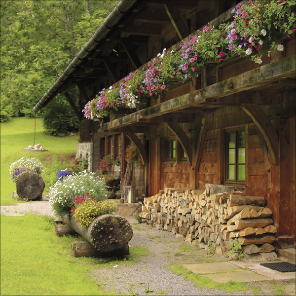 Schwarzwald 2027, Innenansicht #9