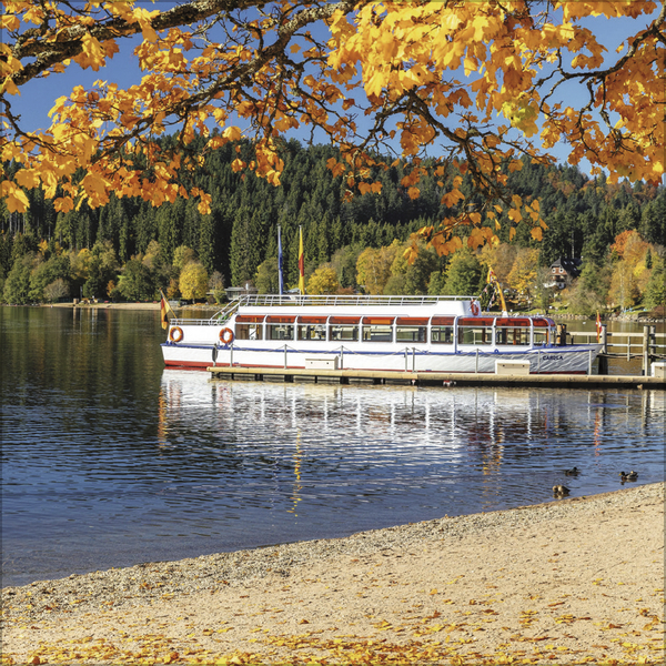 Schwarzwald 2027, Innenansicht #11