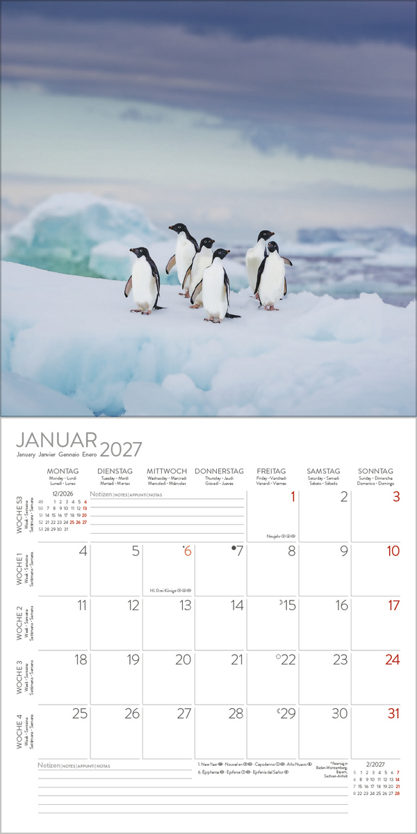 Pinguine 2027, Innenansicht #1