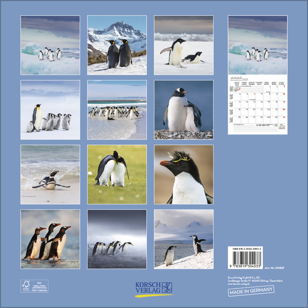 Pinguine 2027, Innenansicht #13