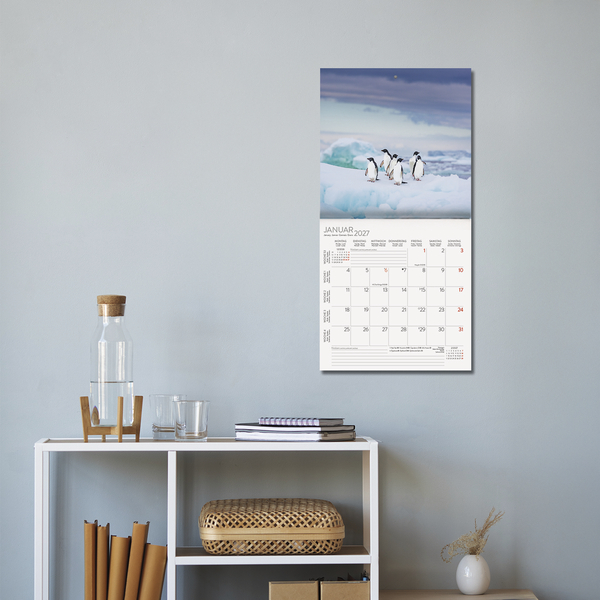 Pinguine 2027, Innenansicht #16