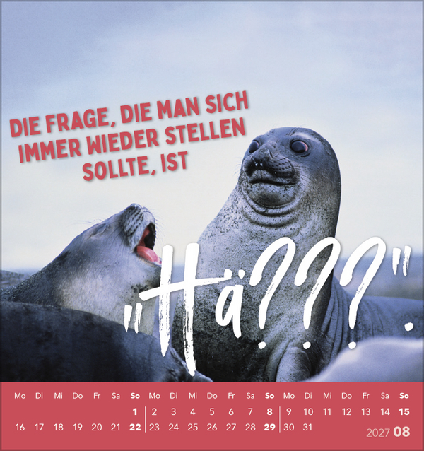 Lieber verr&uuml;ckt das Leben genie&szlig;en 2027, Innenansicht #8