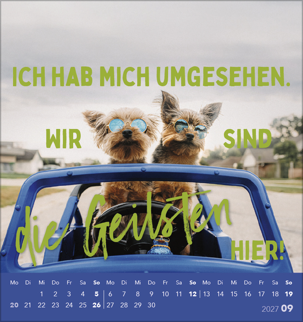 Lieber verr&uuml;ckt das Leben genie&szlig;en 2027, Innenansicht #9