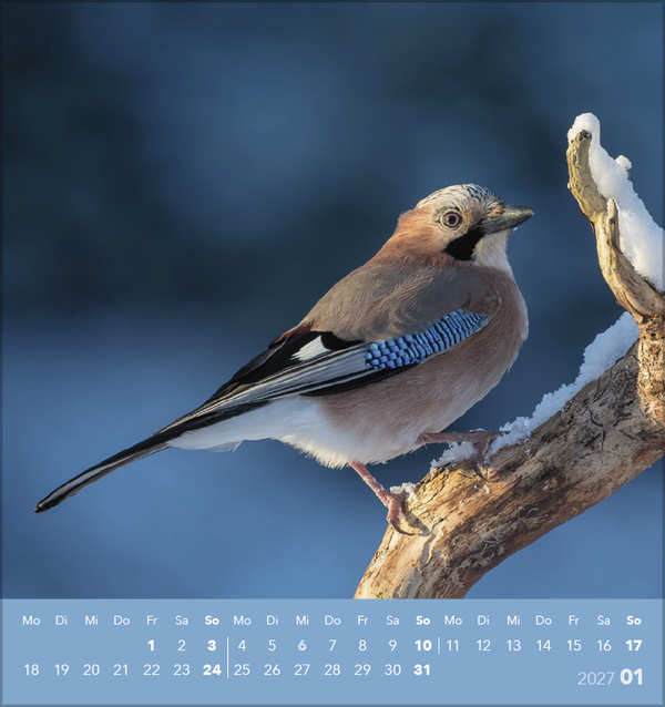 V&ouml;gel unserer Heimat 2027, Innenansicht #1