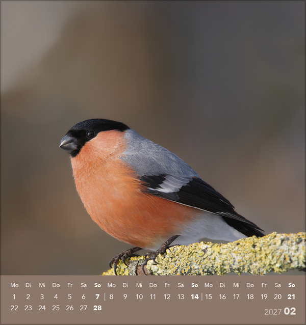 V&ouml;gel unserer Heimat 2027, Innenansicht #2