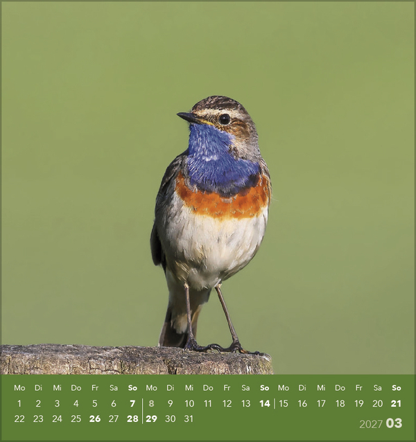 V&ouml;gel unserer Heimat 2027, Innenansicht #3