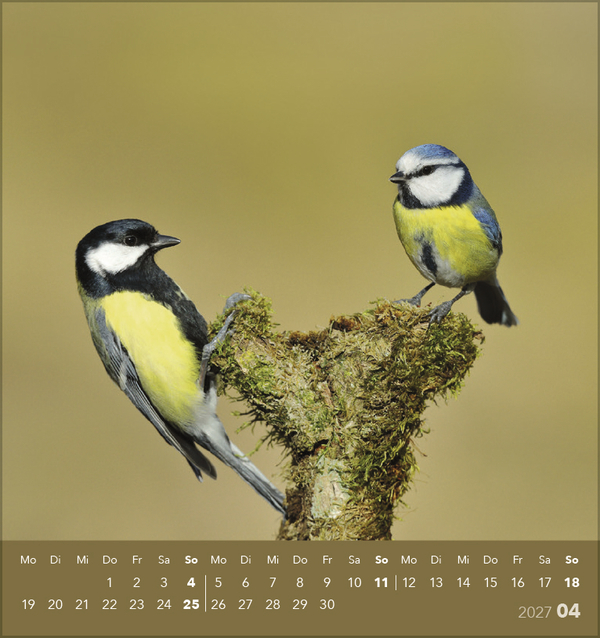 V&ouml;gel unserer Heimat 2027, Innenansicht #4