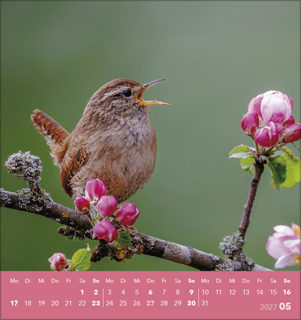 V&ouml;gel unserer Heimat 2027, Innenansicht #5