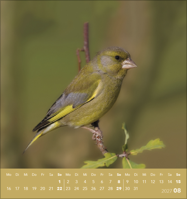 V&ouml;gel unserer Heimat 2027, Innenansicht #8