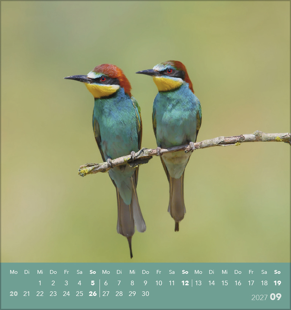 V&ouml;gel unserer Heimat 2027, Innenansicht #9