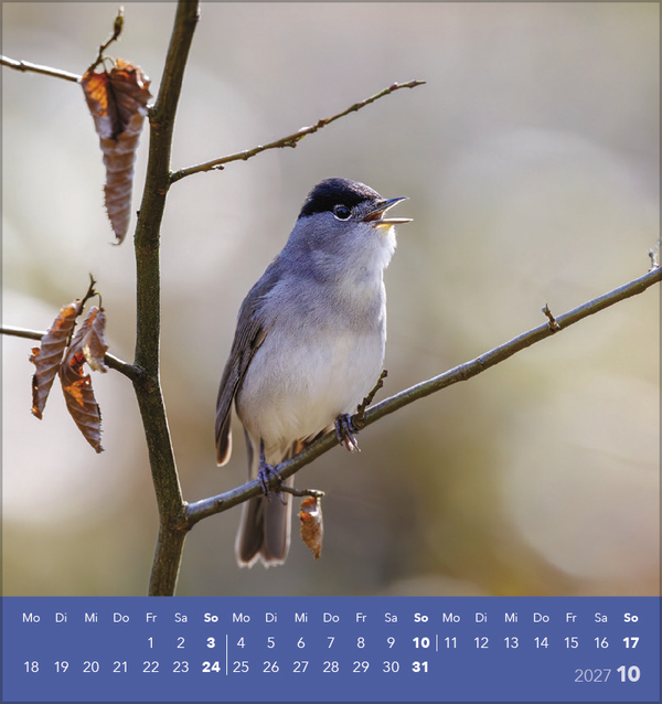 V&ouml;gel unserer Heimat 2027, Innenansicht #10